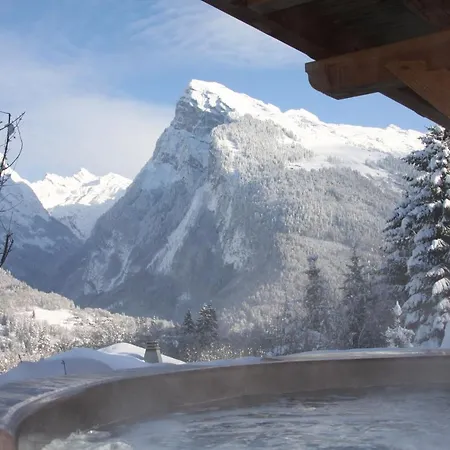 Chalet Apassion * Samoëns